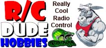 RC Dude